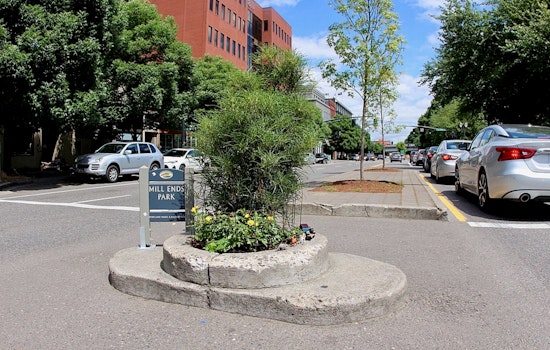 World's Smallest Park in Portland Left Treeless, Community Vows to Replant Missing Spruce