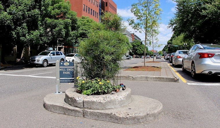 World's Smallest Park in Portland Left Treeless, Community Vows to Replant Missing Spruce