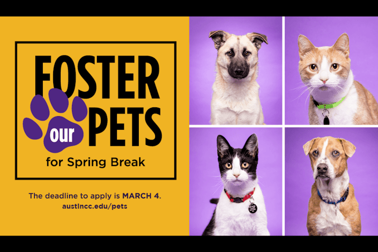 ACC Seeks Community Support for Spring Break Pet Fostering; Offers Students Practical Vet Tech Experience