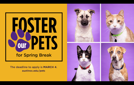 ACC Seeks Community Support for Spring Break Pet Fostering; Offers Students Practical Vet Tech Experience