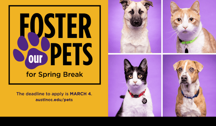 ACC Seeks Community Support for Spring Break Pet Fostering; Offers Students Practical Vet Tech Experience