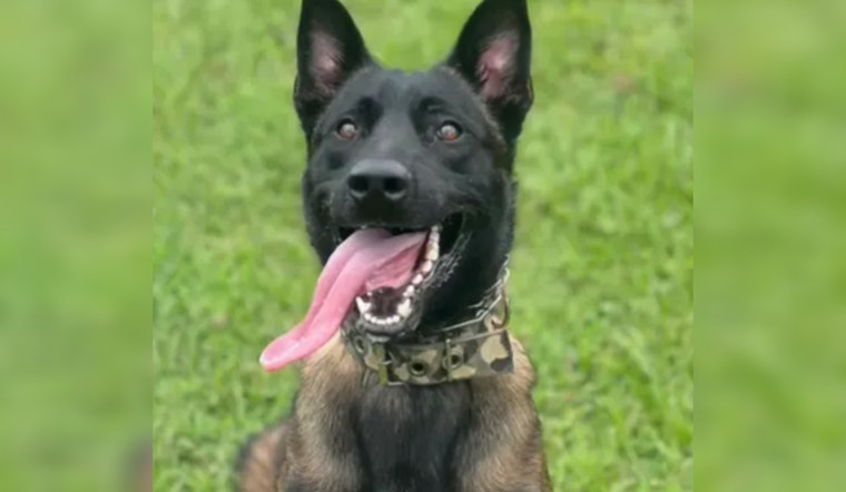 Acworth K-9 Officer Sniffs Out Suspect Christopher Hammit Facing Meth Trafficking Charges