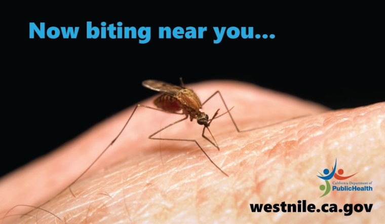 Alameda County Detects First West Nile Virus-Positive Mosquito of 2024 in Union City