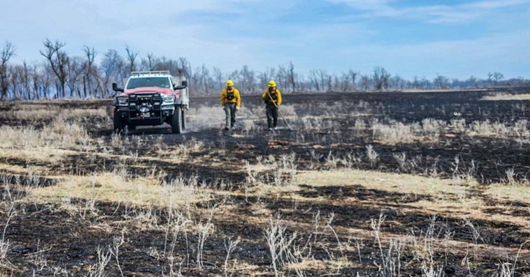 Amarillo and Beyond on Edge as Wildfires Blaze Through the Panhandle, Claiming Lives and Livelihoods