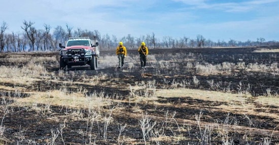 Amarillo and Beyond on Edge as Wildfires Blaze Through the Panhandle, Claiming Lives and Livelihoods