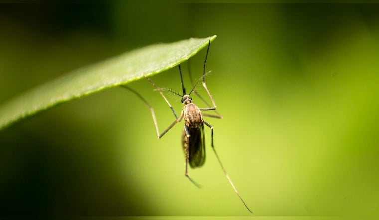 Anoka County Readies for Mosquito Season, Heralds Infrastructure and Safety Upgrades