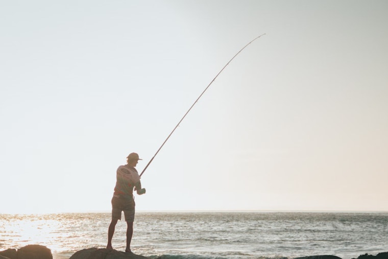 Appellate Court Calls for Review of Red Grouper Catch Limits Reallocation in Gulf of Mexico
