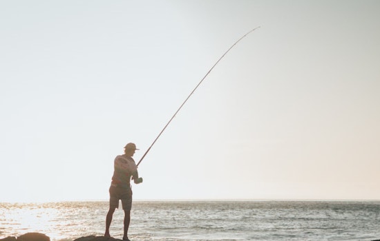 Appellate Court Calls for Review of Red Grouper Catch Limits Reallocation in Gulf of Mexico