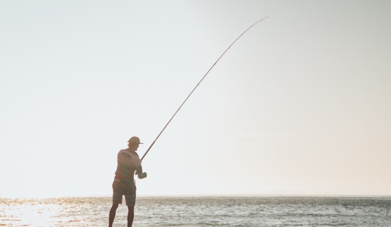 Appellate Court Calls for Review of Red Grouper Catch Limits Reallocation in Gulf of Mexico