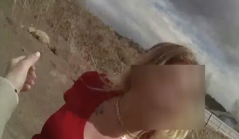 Arizona Deputy on Leave, Accused of Striking Handcuffed Woman After Body-Cam Footage Emerges