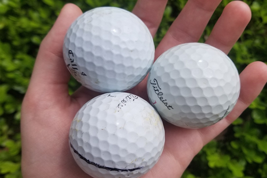 Arlington Parks & Rec Shares Tips for Turning Golf Balls into Ladybug Garden Decor