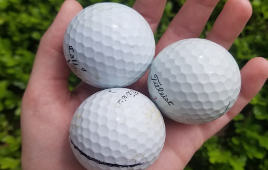 Arlington Parks & Rec Shares Tips for Turning Golf Balls into Ladybug Garden Decor