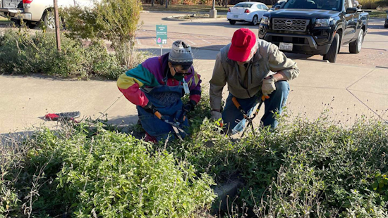 Arlington's O.S. Gray Natural Area Revitalized by Dedicated Community Volunteers