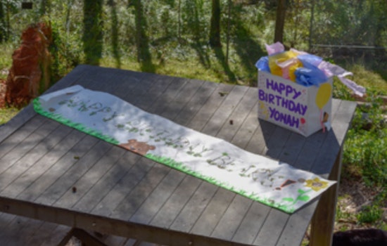 Athens' Bear Hollow Zoo Prepares for a Bear-y Happy Birthday Bash for Beloved Trio