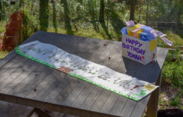 Athens' Bear Hollow Zoo Prepares for a Bear-y Happy Birthday Bash for Beloved Trio