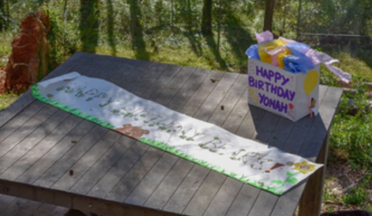 Athens' Bear Hollow Zoo Prepares for a Bear-y Happy Birthday Bash for Beloved Trio