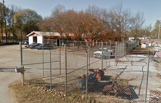 Atlanta Police Horse Escapes Through Vandalized Fence, Prompting Investigation