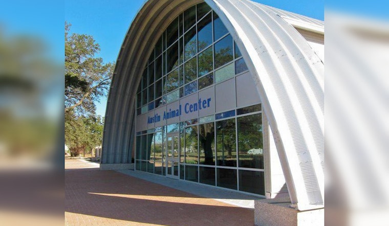 Austin Animal Center Issues Urgent Plea for Fosters and Adopters Amid Severe Overcrowding Crisis
