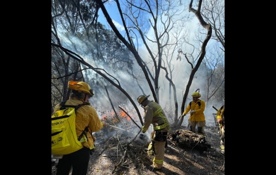 Austin Firefighters Extinguish Brush Fire Amidst Challenging Conditions in Barton Creek Greenbelt