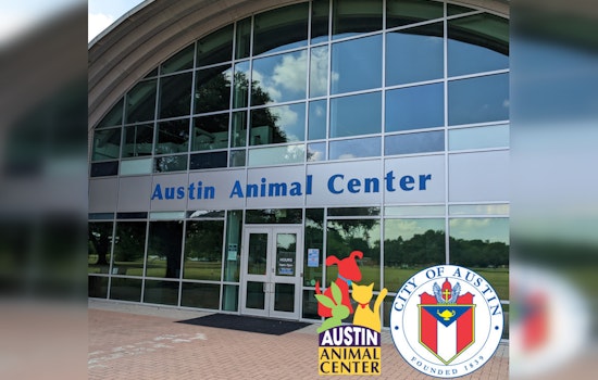 Austin Officials Detail Efforts to Address Animal Shelter Deficiencies After Critical Audit
