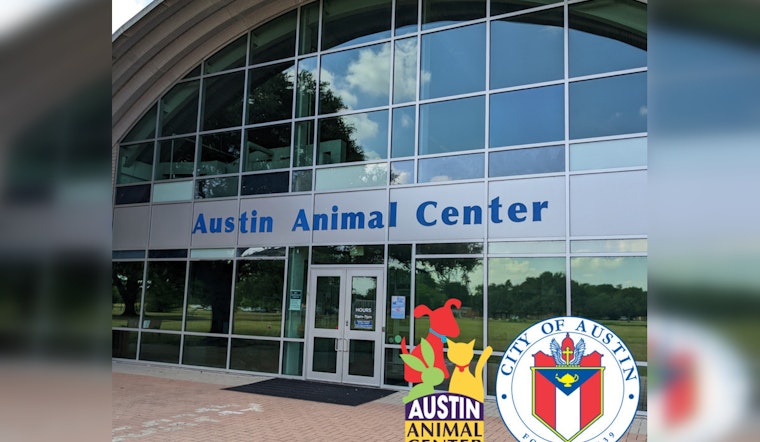 Austin Officials Detail Efforts to Address Animal Shelter Deficiencies After Critical Audit