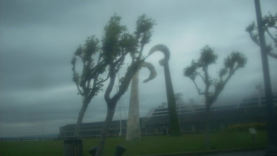 Bay Area Hit by Gale-Force Winds Amid Weather Advisory, Mariners and Travelers Advised Caution