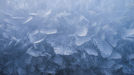 Bay Area Hit with Frost Advisory as Temperatures Plunge, NWS Urges Protection for Vulnerable