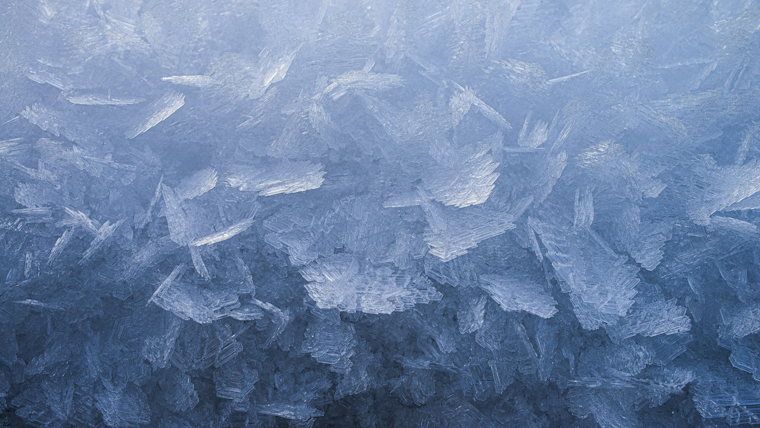 Bay Area Hit with Frost Advisory as Temperatures Plunge, NWS Urges Protection for Vulnerable