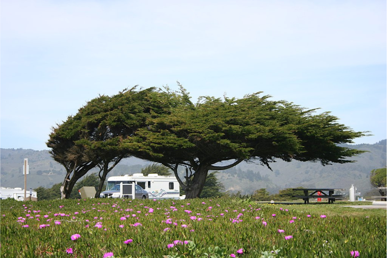 Bay Area on Alert for Powerful Offshore Winds, NWS Issues Gust Advisory Amid Power Outage Concerns