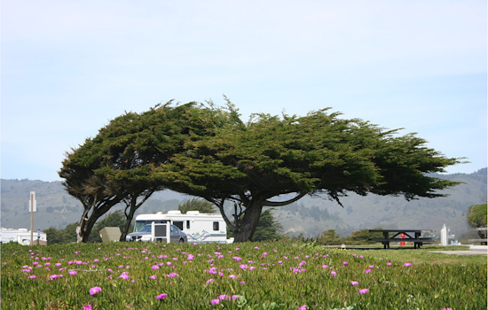 Bay Area on Alert for Powerful Offshore Winds, NWS Issues Gust Advisory Amid Power Outage Concerns