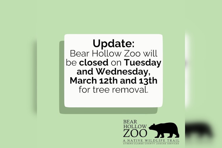 Bear Hollow Zoo in Athens to Close Temporarily for ‘Green Maintenance’