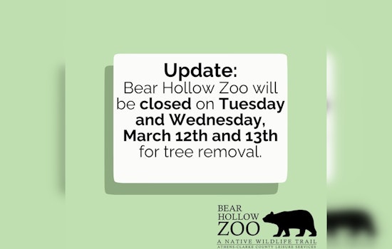 Bear Hollow Zoo in Athens to Close Temporarily for ‘Green Maintenance’