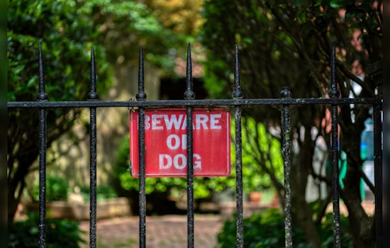 Bexar County Enforces Dangerous Dog Laws, Resulting in Euthanization; Owner Seeks Better Protocol