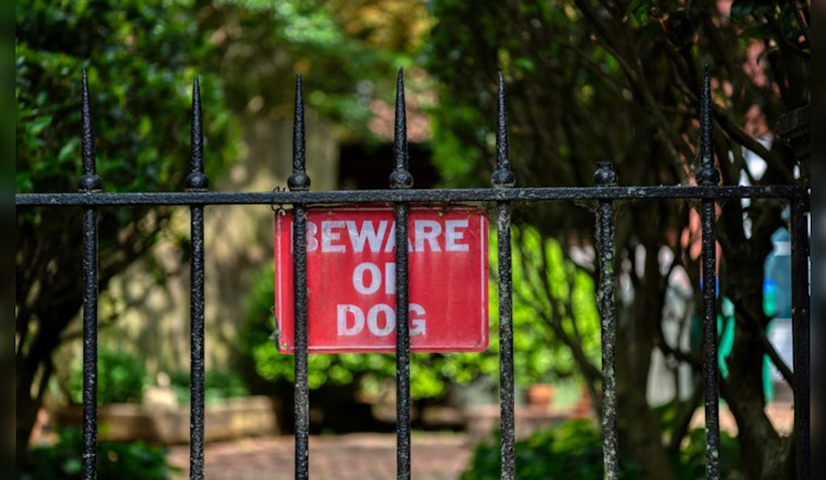 Bexar County Enforces Dangerous Dog Laws, Resulting in Euthanization; Owner Seeks Better Protocol