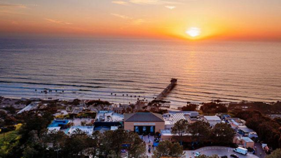 Birch Aquarium Extends Hours for Spring, Introduces Late Night Treats and Little Blue Penguins in La Jolla