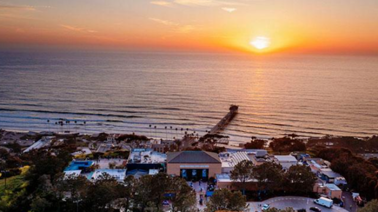 Birch Aquarium Extends Hours for Spring, Introduces Late Night Treats and Little Blue Penguins in La Jolla