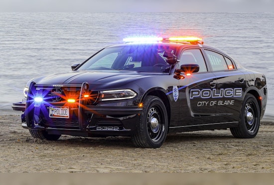 Blaine Fugitive's Flight from Traffic Stop Ends in Arrest; Multiple Felony Warrants and Cocaine Possession Uncovered