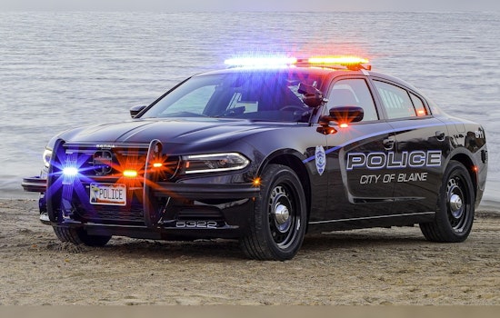 Blaine Fugitive's Flight from Traffic Stop Ends in Arrest; Multiple Felony Warrants and Cocaine Possession Uncovered