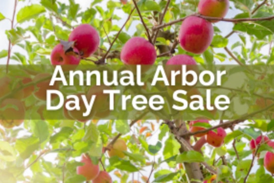 Blaine Residents Invited to Boost Local Greenery with Annual Arbor Day Tree Sale