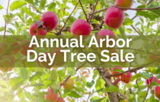 Blaine Residents Invited to Boost Local Greenery with Annual Arbor Day Tree Sale