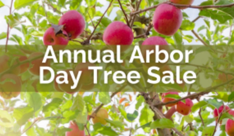 Blaine Residents Invited to Boost Local Greenery with Annual Arbor Day Tree Sale