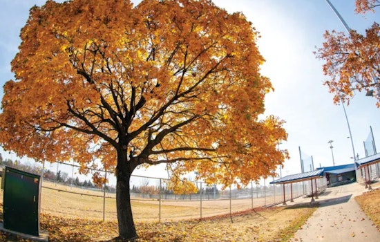 Bloomington's Annual Arbor Day Tree Sale Invites Residents to Grow Urban Canopy