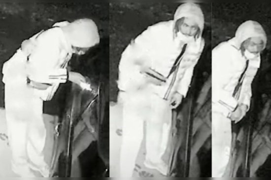 Boston Police Seek Public's Aid in Identifying Suspect in Roxbury Vandalism Spree