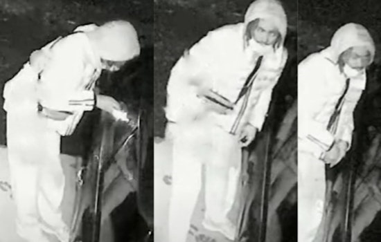 Boston Police Seek Public's Aid in Identifying Suspect in Roxbury Vandalism Spree