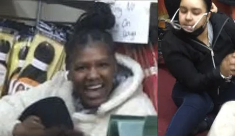Boston Police Seek Public's Aid in Identifying Suspects from Daylight Assault in Roxbury