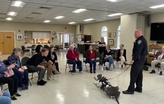 Bridgewater Seniors Share Joyful Moments with Local K9 Officers at Community Policing Event