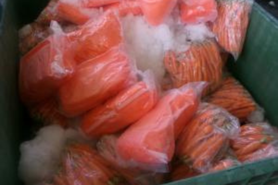 Carrot Cover-Up at Otay Mesa, CBP Nabs 2,900 Pounds of Meth Hidden Among Veggies