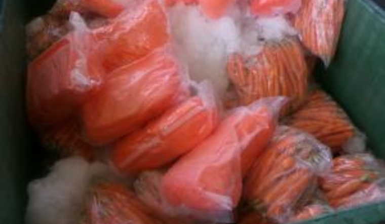 Carrot Cover-Up at Otay Mesa, CBP Nabs 2,900 Pounds of Meth Hidden Among Veggies
