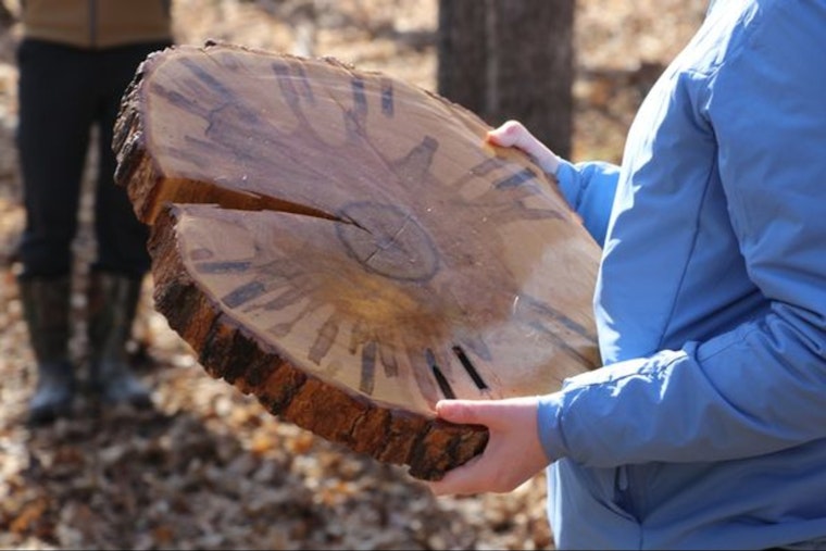 Carver County Welcomes Spring with Maple Syruping Events for Families