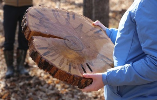 Carver County Welcomes Spring with Maple Syruping Events for Families
